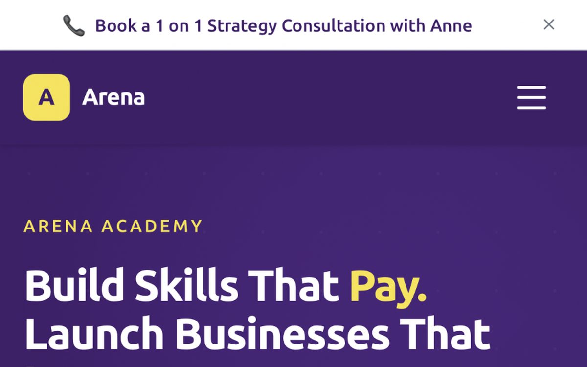 Arena Academy website preview